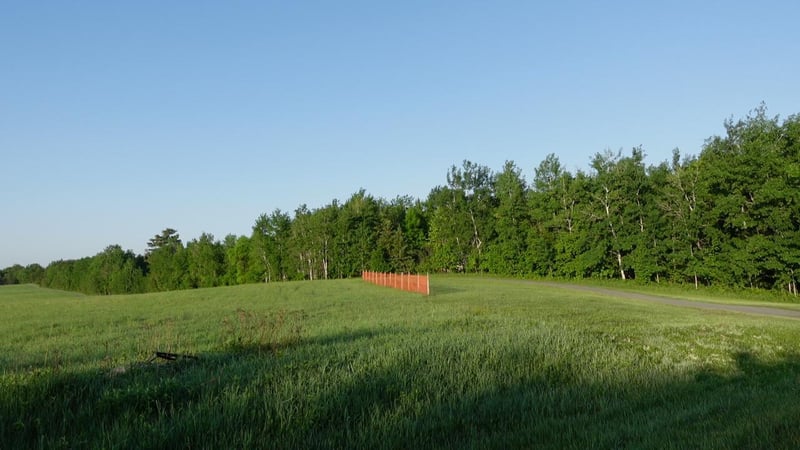TBD Bakkum Rd NE, Bemidji, MN 56601