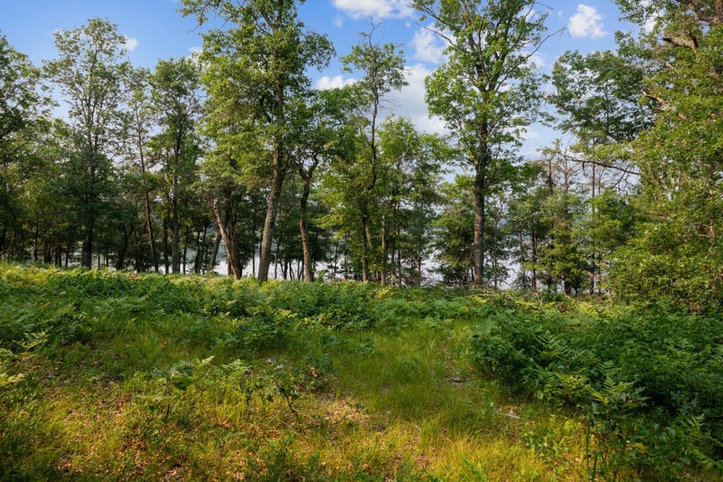 Lot 9 Crystal Lake Dr, Danbury, WI 54830
