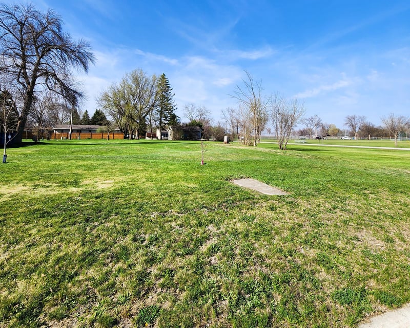 602 E Willow Ave, Olivia, MN 56277