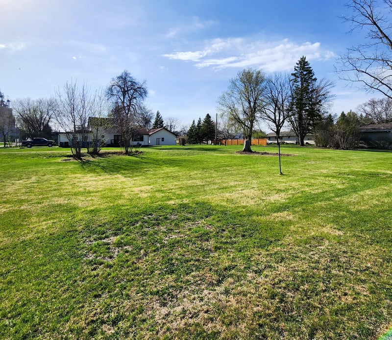 602 E Willow Ave, Olivia, MN 56277