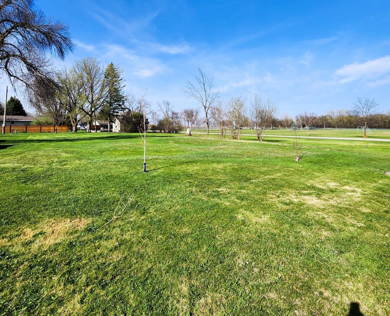 602 E Willow Ave, Olivia, MN 56277