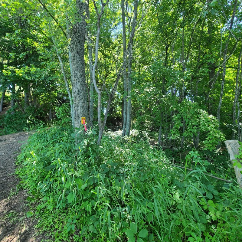 TBD Sunset Trl, Pine City, MN 55063