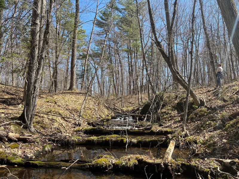 TBD Red Oak Ln, Stone Lake, WI 54876