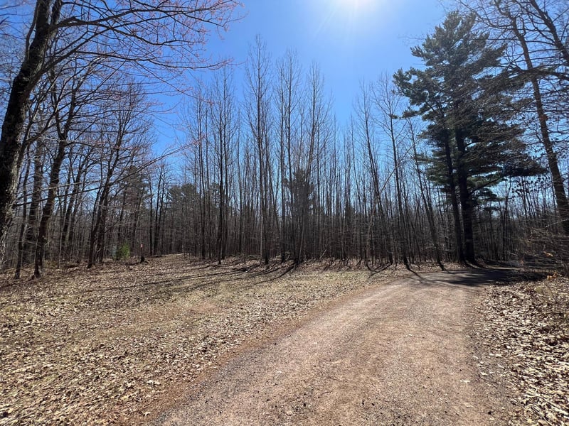 43TBD Red Oak Ln, Stone Lake, WI 54876