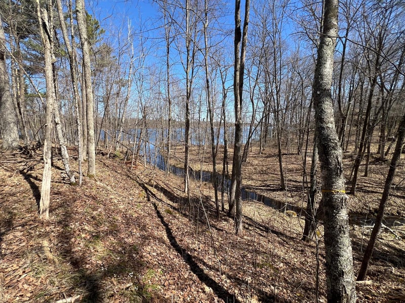 43TBD Red Oak Ln, Stone Lake, WI 54876