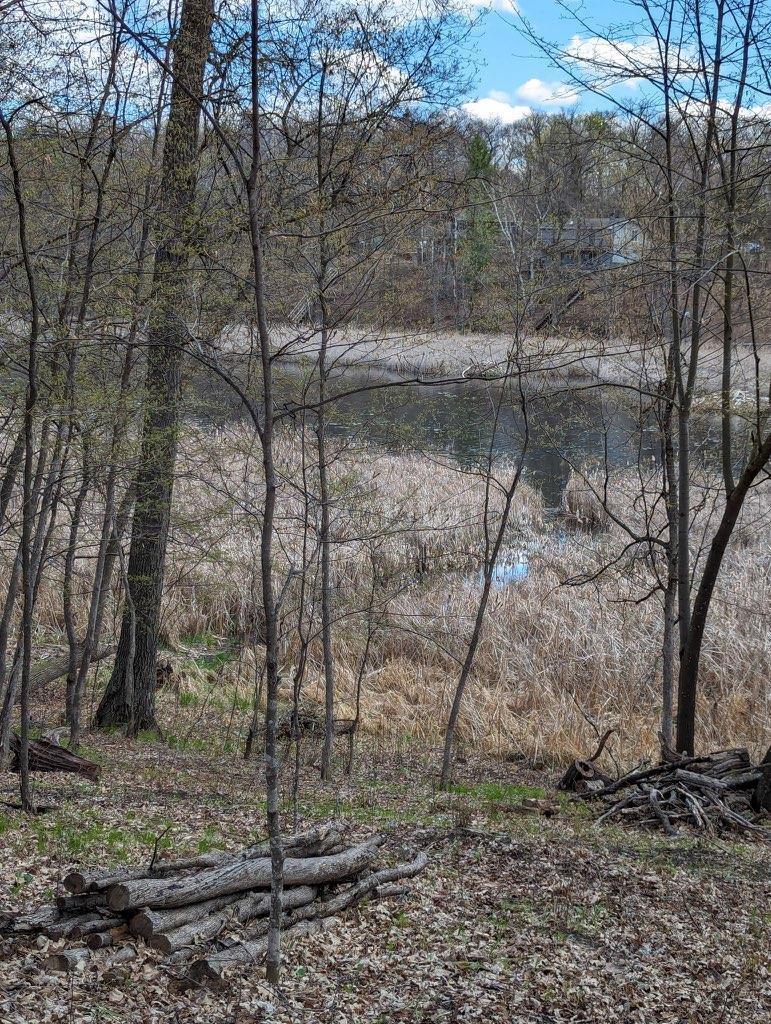 TBD Paradise Dr, Browerville, MN 56438