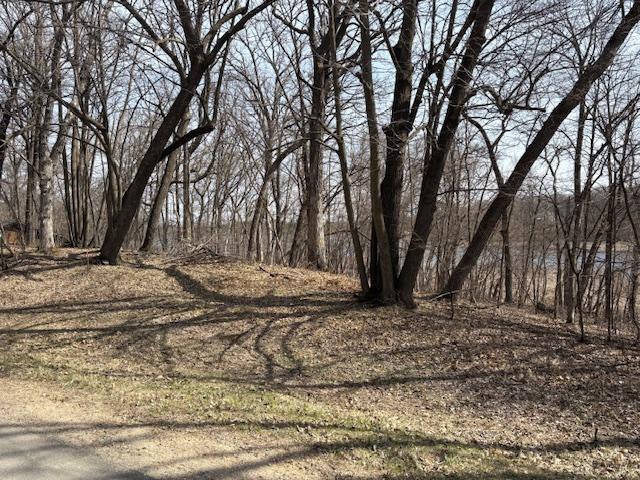 TBD Paradise Dr, Browerville, MN 56438