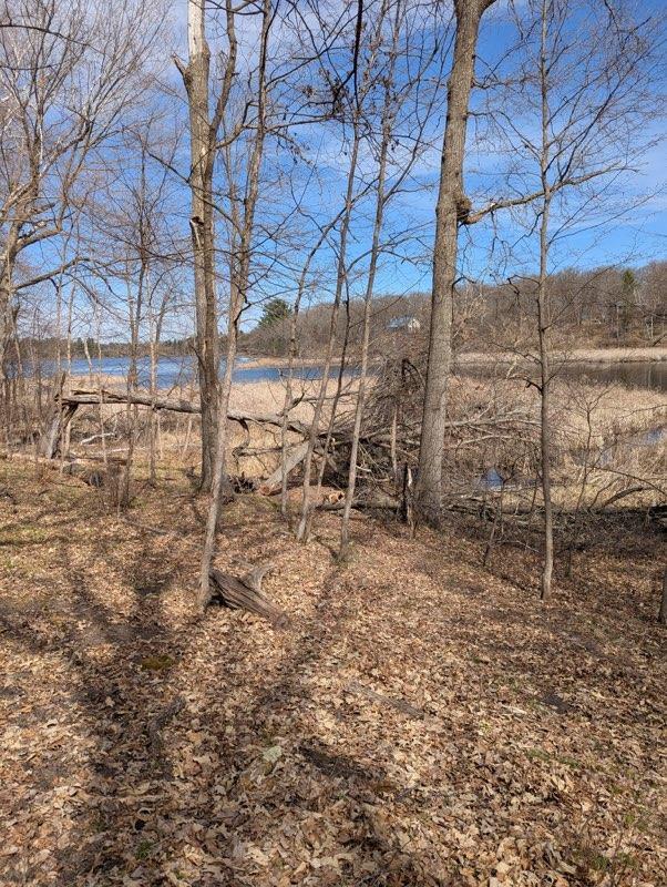 TBD Paradise Dr, Browerville, MN 56438