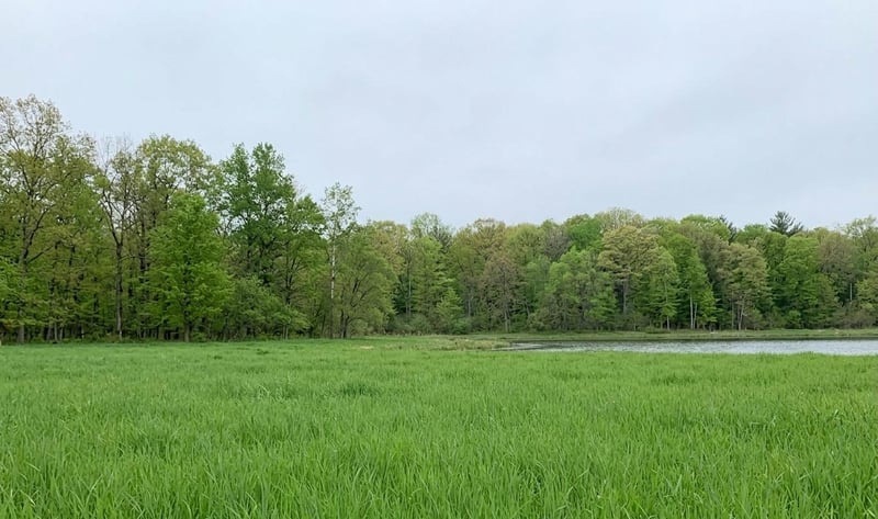 TDB County Rd 453, Bovey, MN 55709