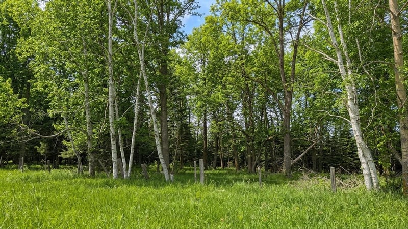 TDB County Rd 453, Bovey, MN 55709
