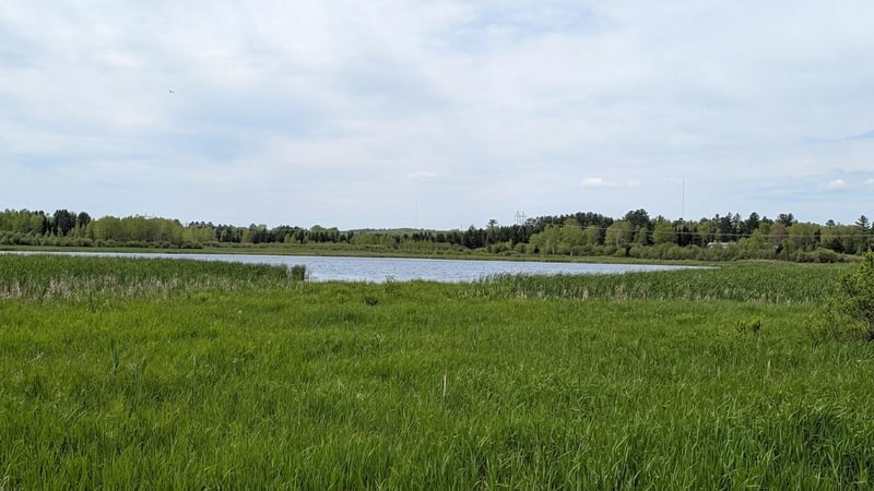 TDB County Rd 453, Bovey, MN 55709