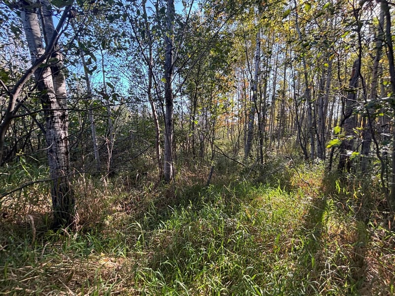 XXX Garfield St, Cloquet, MN 55720
