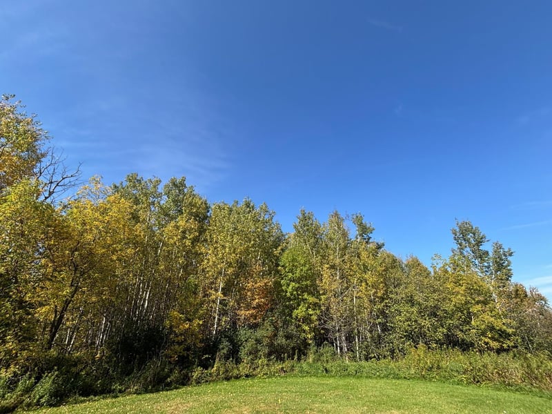 XXX Garfield St, Cloquet, MN 55720