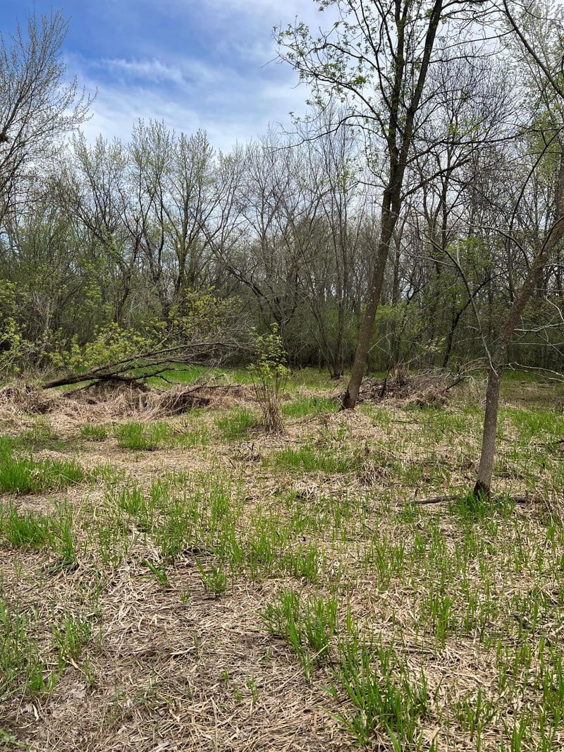 TBD Maple St N, Royalton, MN 56373