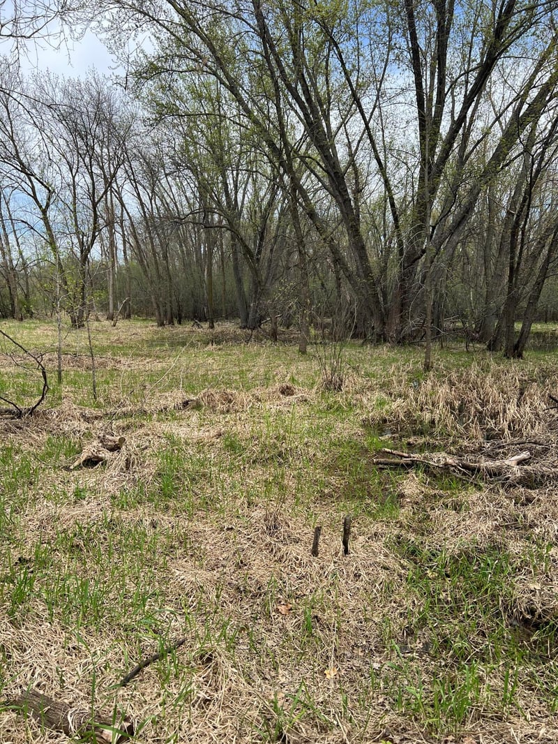 TBD Maple St N, Royalton, MN 56373