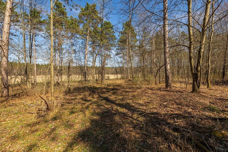 0 Prairie Road East, Osseo, WI 54758