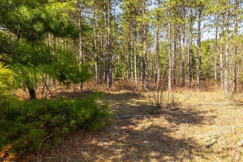 0 Prairie Rd E, Osseo, WI 54758