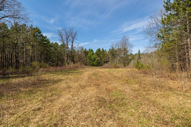 0 Prairie Rd E, Osseo, WI 54758