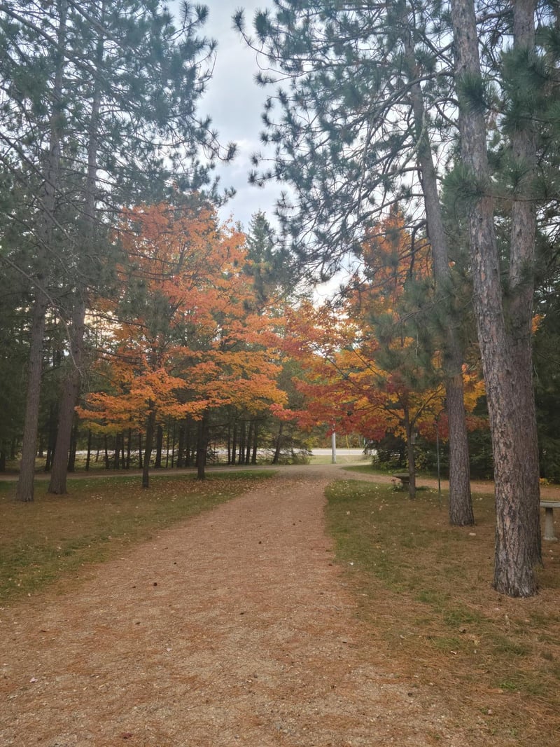 15169 Stocking Lake Rd, Menahga, MN 56464