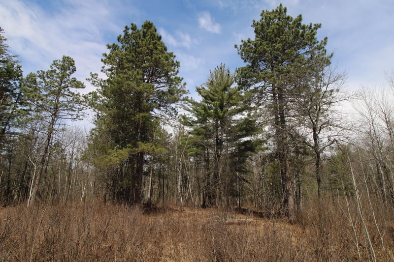 37441 Darsnek Rd, Emily, MN 56447