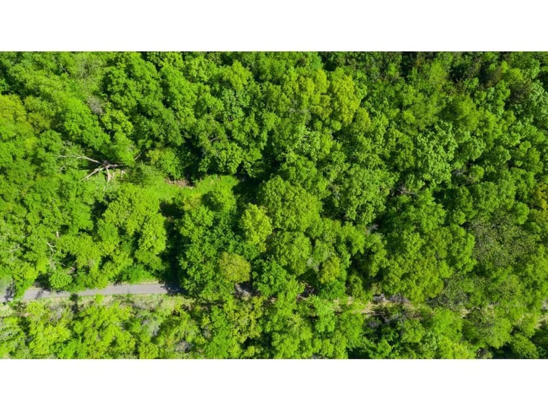 12991 Point Douglas Dr S, Hastings, MN 55033