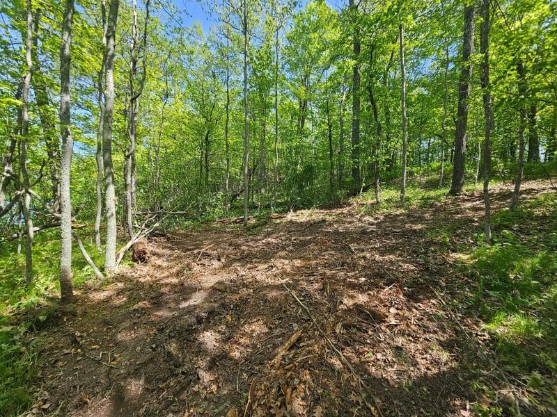 Lot 1 Blk 1 Swanson Rd, Deerwood, MN 56444