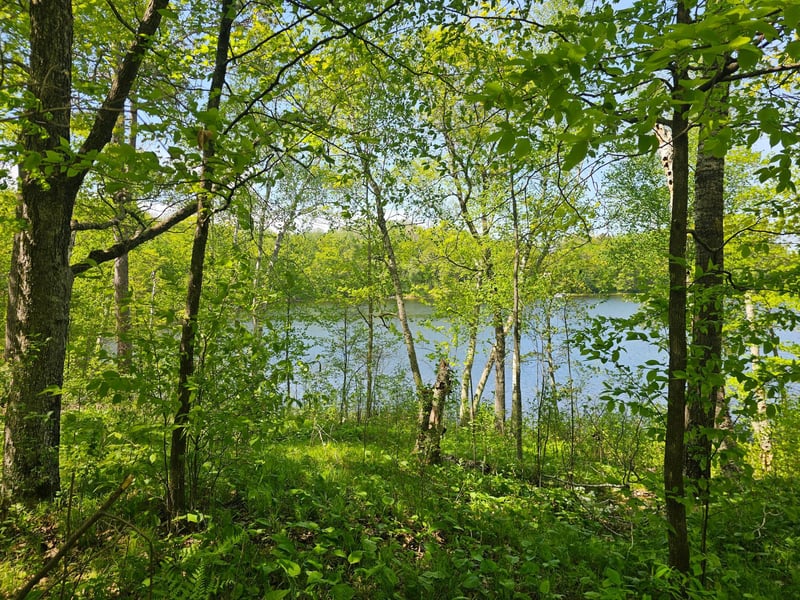 Lot 1 Blk 1 Swanson Rd, Deerwood, MN 56444