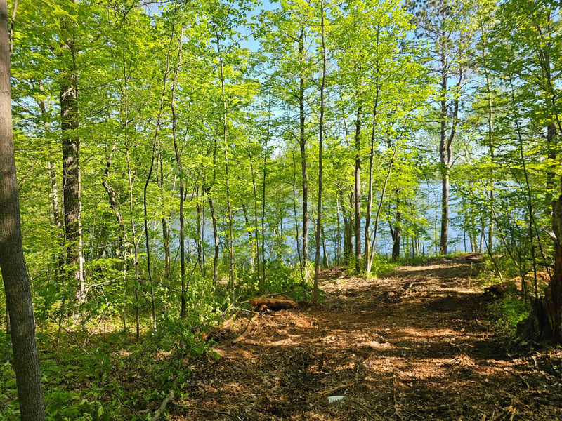 Lot 2 Blk 1 Swanson Rd, Deerwood, MN 56444