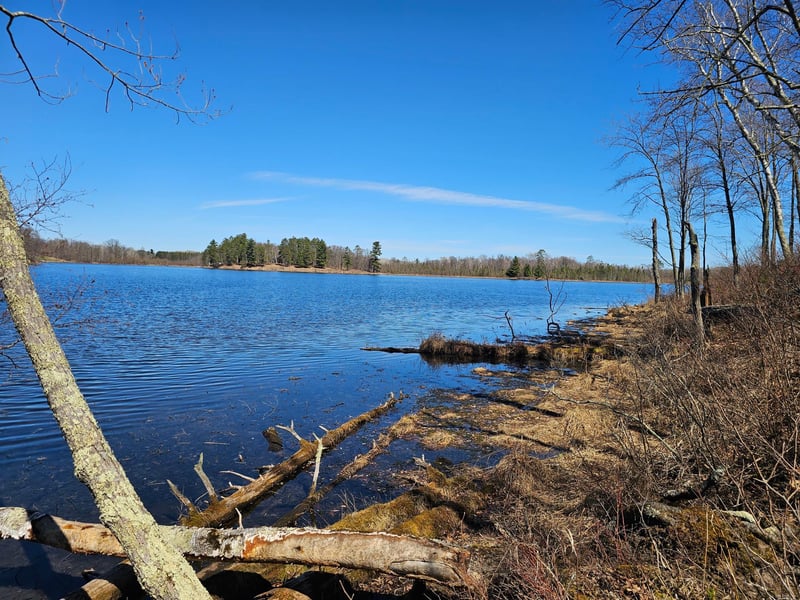 Lot 2 Blk 1 Swanson Rd, Deerwood, MN 56444