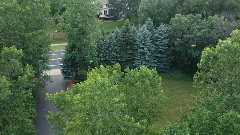 14821 Lac Lavon Dr, Burnsville, MN 55306
