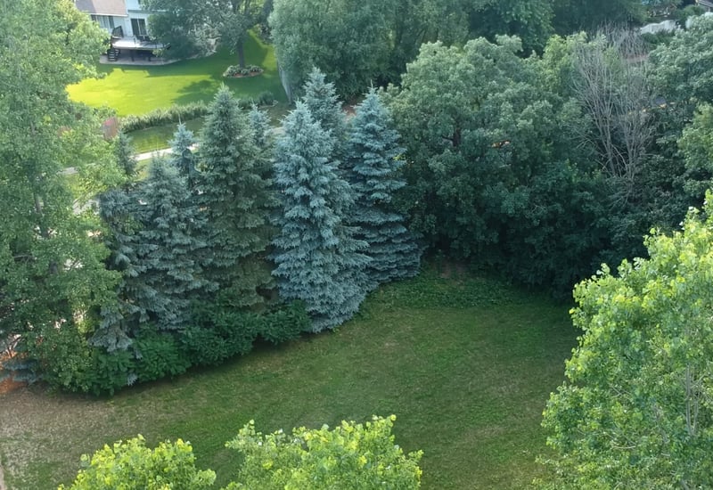 14821 Lac Lavon Dr, Burnsville, MN 55306