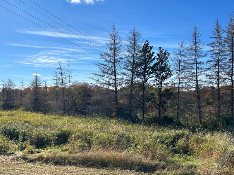 000 Riverbend Dr, Warroad, MN 56763