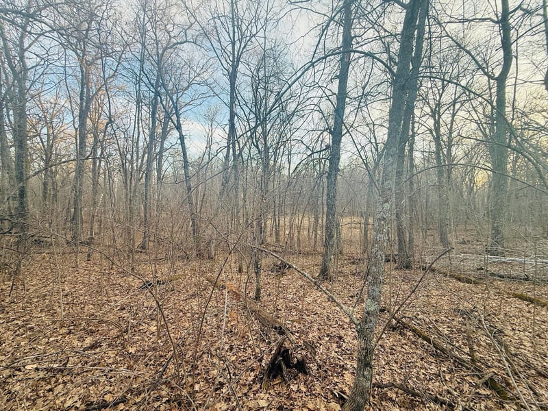 TBD Ringneck Roost, Garrison, MN 56450