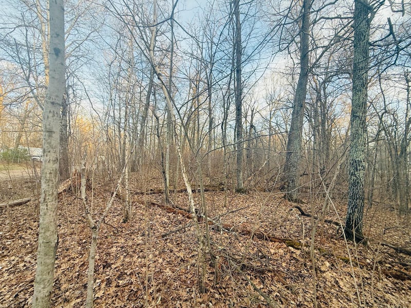 TBD Ringneck Roost, Garrison, MN 56450