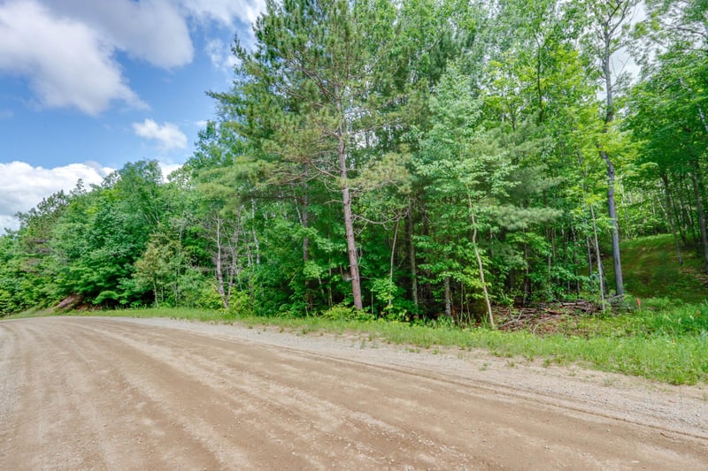TBD "Lot A" Co Rd 533, Effie, MN 56639
