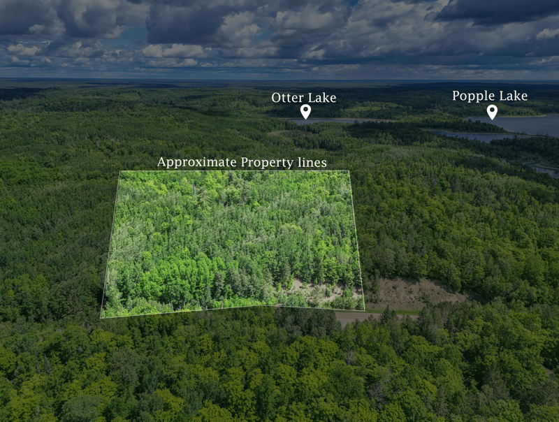 TBD "Lot A" Co Rd 533, Effie, MN 56639