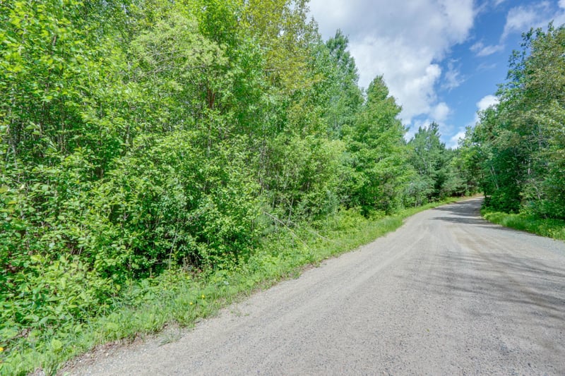 TBD "Lot C" County Road 533, Effie, MN 56639