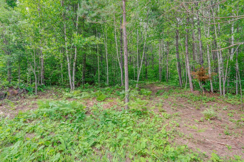 TBD "Lot C" County Road 533, Effie, MN 56639