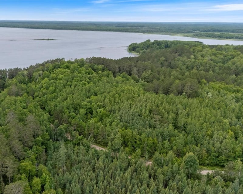 TBD "Lot C" County Road 533, Effie, MN 56639