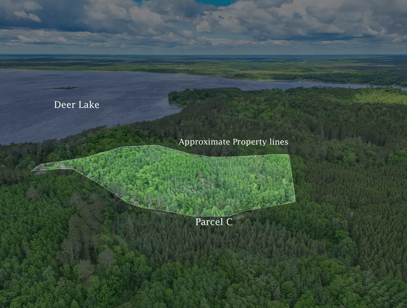 TBD "Lot C" County Road 533, Effie, MN 56639