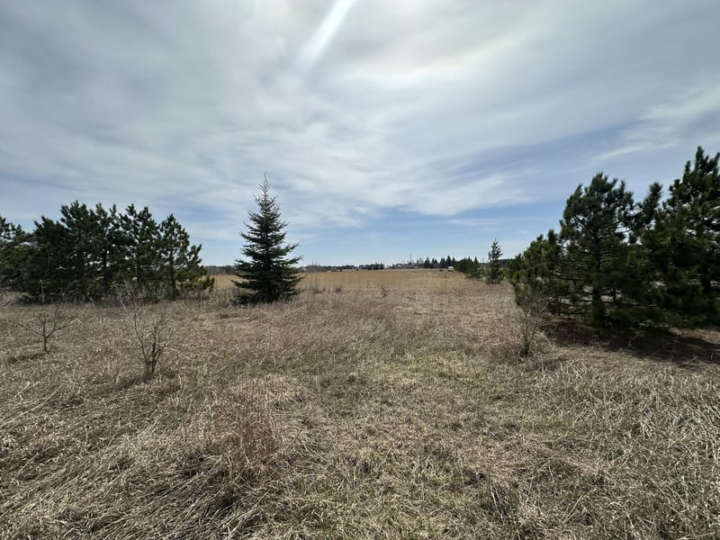 TBD 425th Ave, Perham, MN 56573