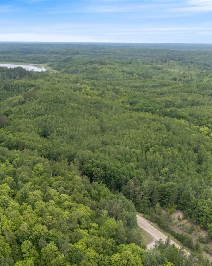 TBD "Lot B" Co Rd 533, Effie, MN 56639