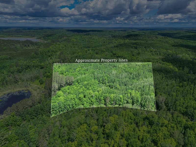 TBD "Lot B" Co Rd 533, Effie, MN 56639