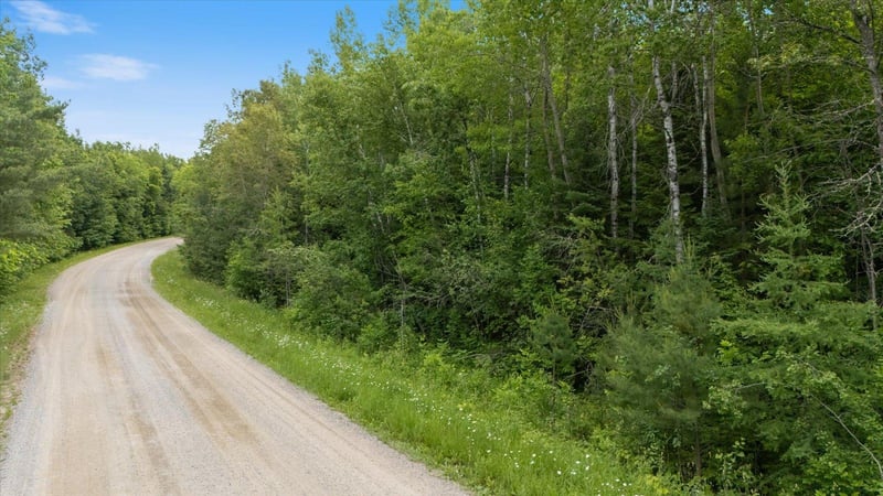 TBD "Lot B" Co Rd 533, Effie, MN 56639