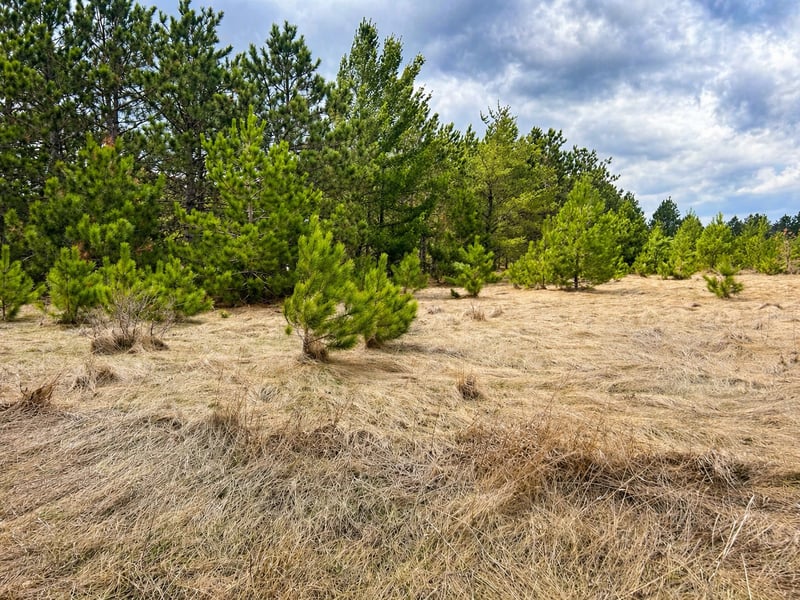 TBD 8th St W, Park Rapids, MN 56470