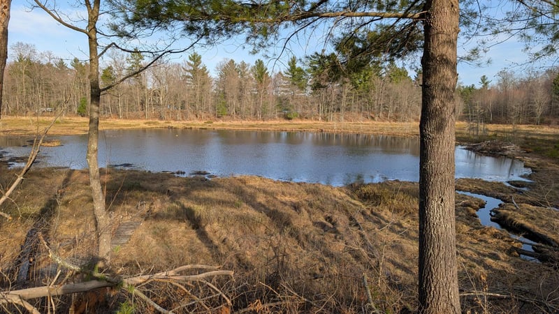 29228 Honkers Hl, Danbury, WI 54830