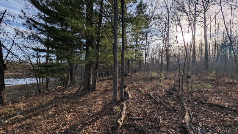 TBD Honkers Hl, Danbury, WI 54830