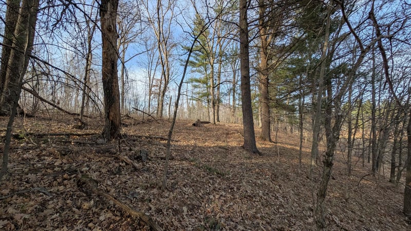 TBD Honkers Hl, Danbury, WI 54830