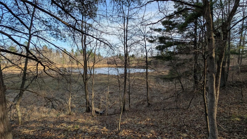 TBD Honkers Hl, Danbury, WI 54830