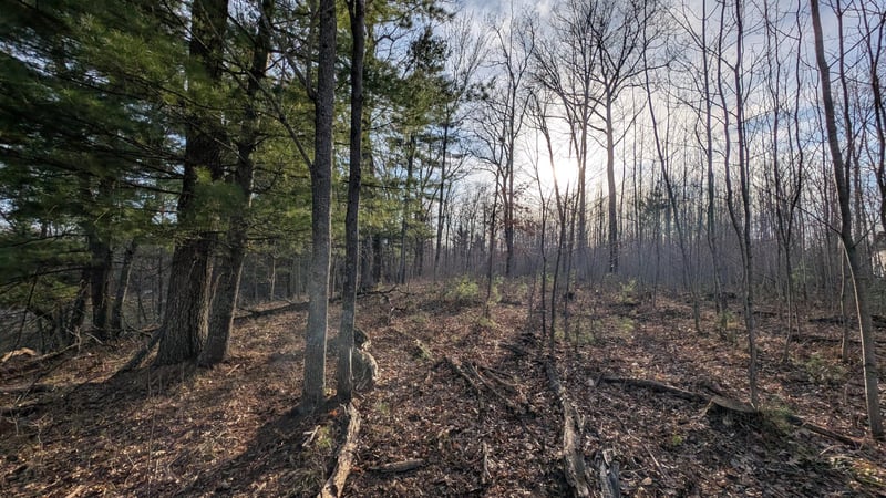 TBD Honkers Hl, Danbury, WI 54830